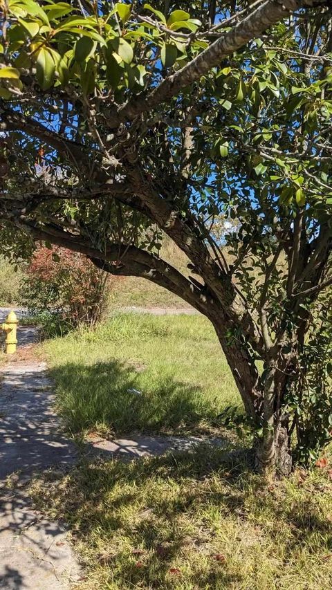 Tiny photo for 406 Hamilton Street, Augusta, GA 30904 (MLS # 543537)