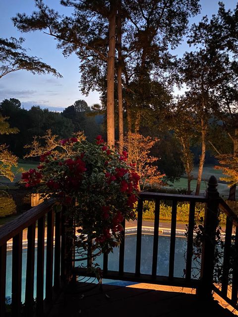 Tiny photo for 313 Live Oak Road, Aiken, SC 29803 (MLS # 550235)