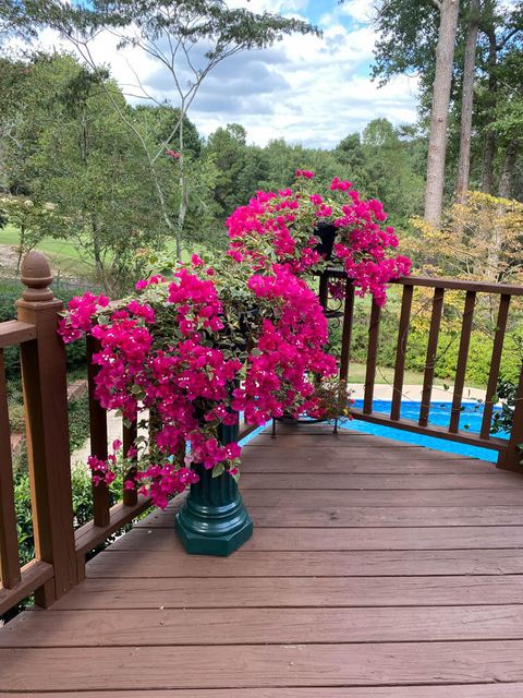 Tiny photo for 313 Live Oak Road, Aiken, SC 29803 (MLS # 550235)