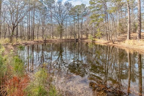 Tiny photo for 1330 Freeman Harriss Road, Harlem, GA 30814 (MLS # 552892)