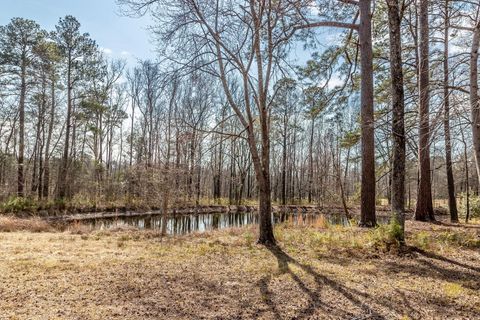 Tiny photo for 1330 Freeman Harriss Road, Harlem, GA 30814 (MLS # 552892)