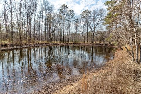 Tiny photo for 1330 Freeman Harriss Road, Harlem, GA 30814 (MLS # 552892)