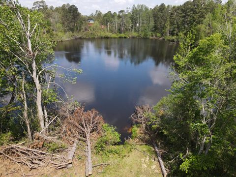 Tiny photo for 1163 Fairlane Drive, Louisville, GA 30434 (MLS # 540277)