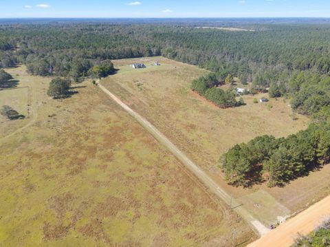 Tiny photo for 1287 Idlewood Munnerlyn Road, Waynesboro, GA 30830 (MLS # 548535)
