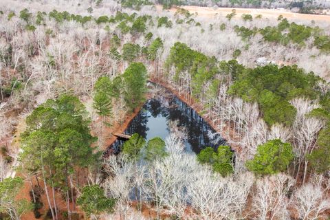 Tiny photo for 4061 Smokey Road, Hephzibah, GA 30815 (MLS # 550453)