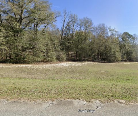 Photo of 107 Meadow View Lane, Waynesboro, GA 30830 (MLS # 552368)