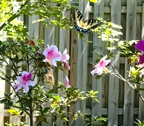Tiny photo for 2020 Autumn Chase, Augusta, GA 30907 (MLS # 548276)