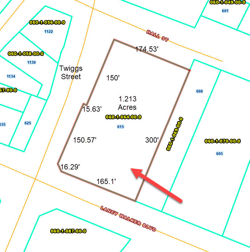 615 LANEY WALKER Boulevard