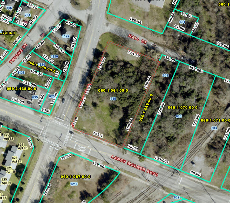 615 LANEY WALKER Boulevard