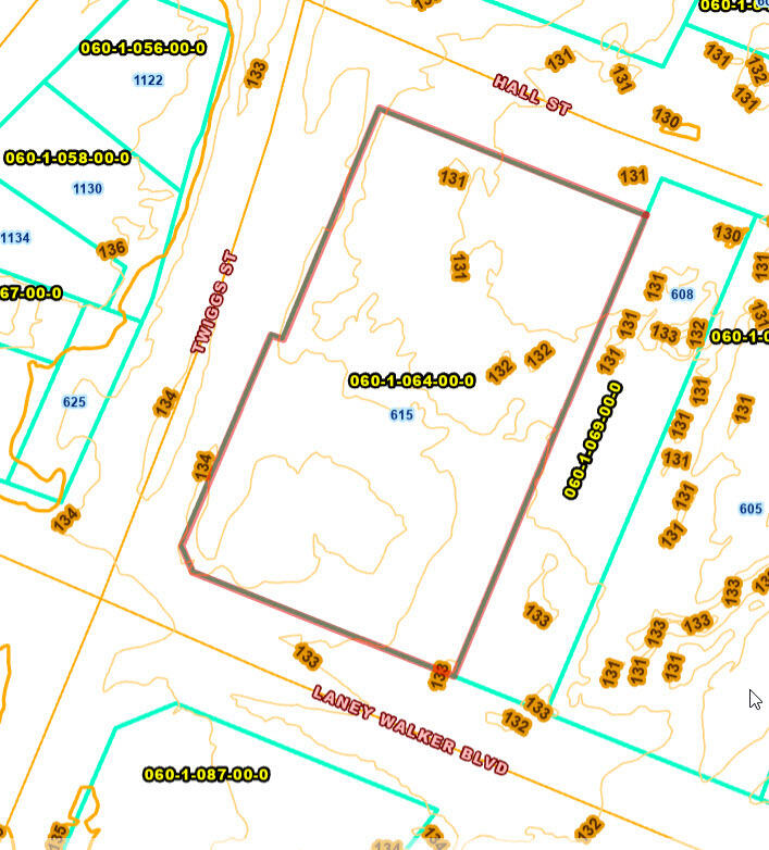 615 LANEY WALKER Boulevard