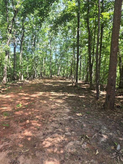 Tiny photo for 3706 Cooter Creek Road, Elberton, GA 30635 (MLS # 544015)