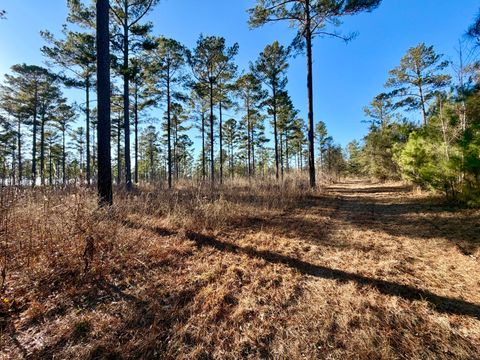 Tiny photo for 873 Joyner-Oglesby Road, Sardis, GA 30456 (MLS # 551855)