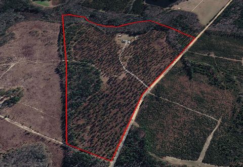 Tiny photo for 873 Joyner-Oglesby Road, Sardis, GA 30456 (MLS # 551855)