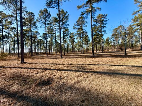 Tiny photo for 873 Joyner-Oglesby Road, Sardis, GA 30456 (MLS # 551855)