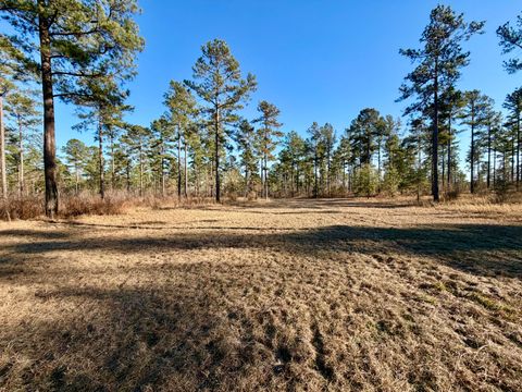 Tiny photo for 873 Joyner-Oglesby Road, Sardis, GA 30456 (MLS # 551855)