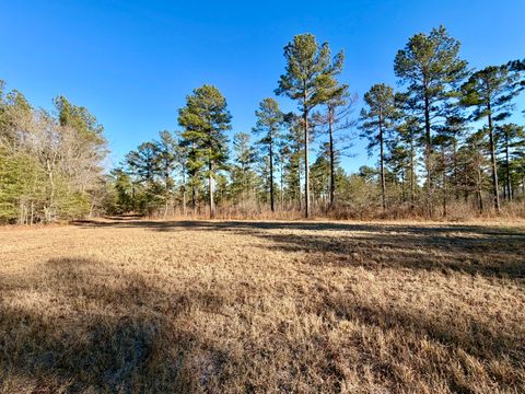 Tiny photo for 873 Joyner-Oglesby Road, Sardis, GA 30456 (MLS # 551855)