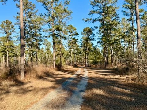 Tiny photo for 873 Joyner-Oglesby Road, Sardis, GA 30456 (MLS # 551855)