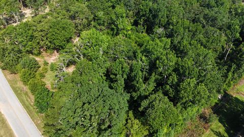 Tiny photo for 2039 Mcdade Farm Road, Hephzibah, GA 30815 (MLS # 543727)