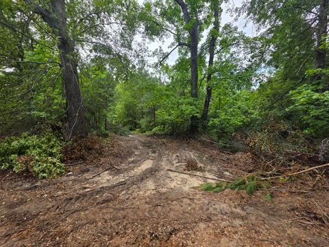Tiny photo for 2039 Mcdade Farm Road, Hephzibah, GA 30815 (MLS # 543727)
