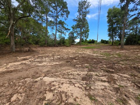 Tiny photo for 2039 Mcdade Farm Road, Hephzibah, GA 30815 (MLS # 543727)