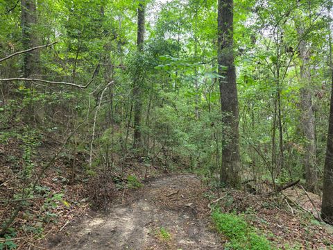 Tiny photo for 2039 Mcdade Farm Road, Hephzibah, GA 30815 (MLS # 543727)
