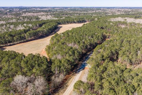 Photo of 1020 Fleming Lake Court, Lincolnton, GA 30817 (MLS # 551588)