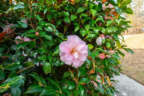 Tiny photo for 201 Buck Point Court, Aiken, SC 29803 (MLS # 550808)