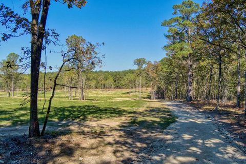 Tiny photo for 793 Flowing Well Road, Wagener, SC 29164 (MLS # 548341)