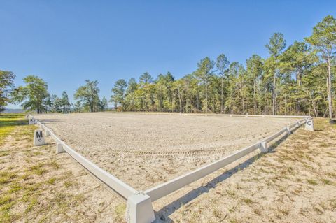 Tiny photo for 793 Flowing Well Road, Wagener, SC 29164 (MLS # 548341)
