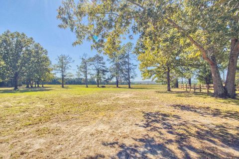 Tiny photo for 793 Flowing Well Road, Wagener, SC 29164 (MLS # 548341)