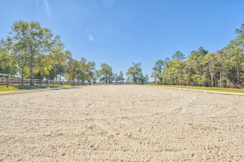 Tiny photo for 793 Flowing Well Road, Wagener, SC 29164 (MLS # 548341)