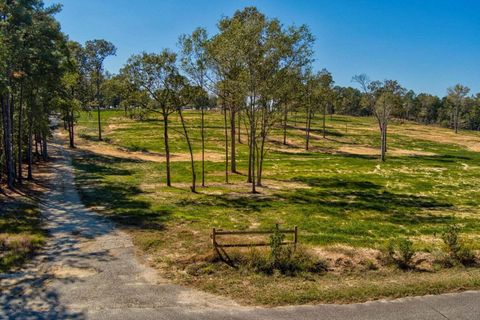 Tiny photo for 793 Flowing Well Road, Wagener, SC 29164 (MLS # 548341)