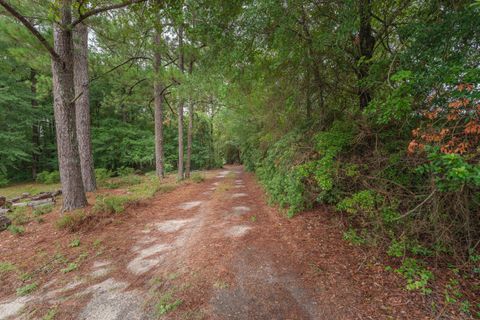 Tiny photo for 783 Main Street, New Ellenton, SC 29809 (MLS # 545464)