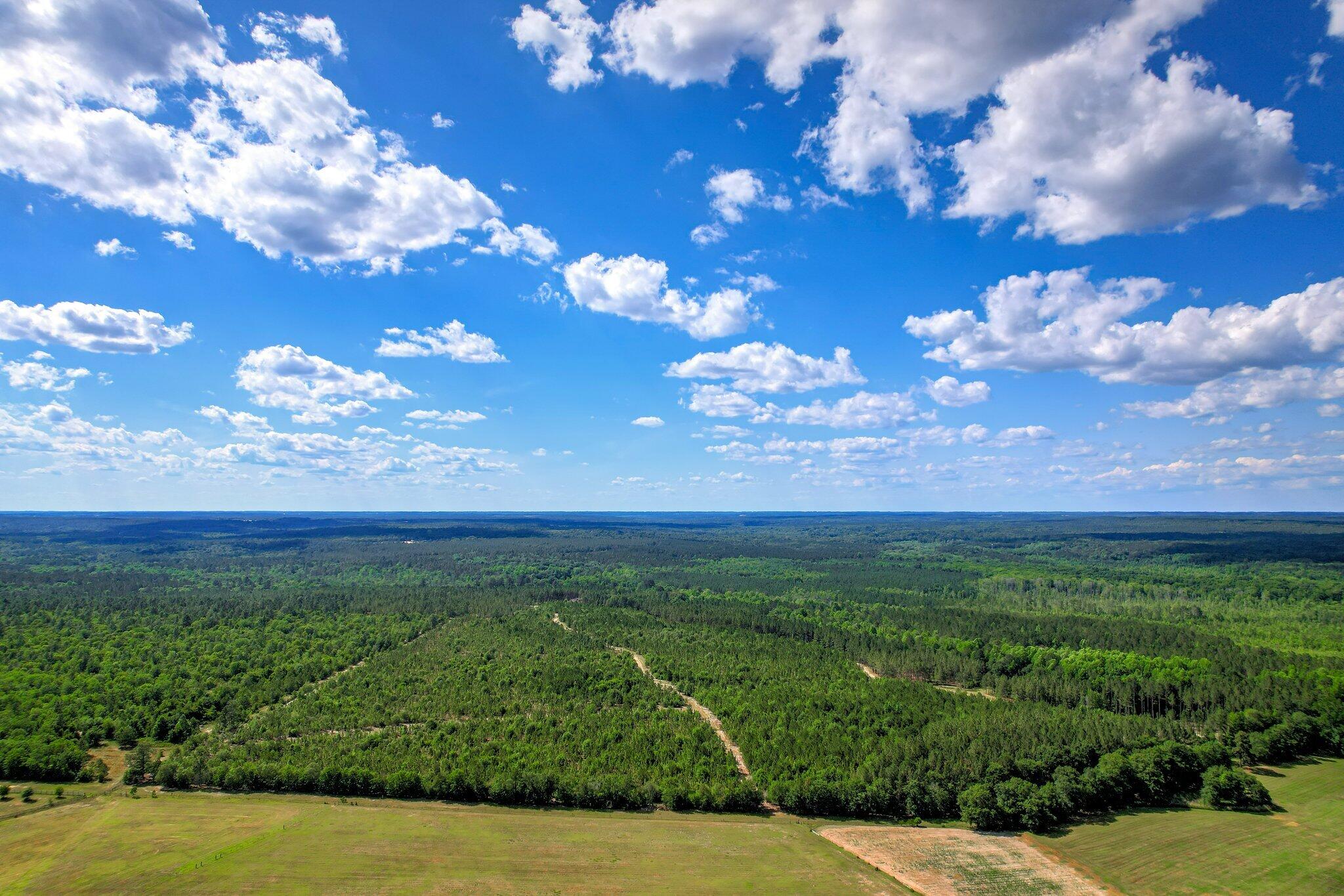 420 Acres N Columbia Highway