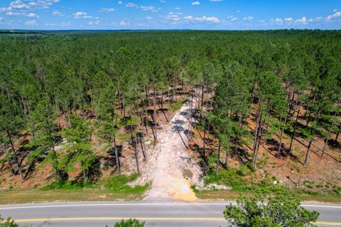 Photo of 420 Acres N Columbia Highway, Ridge Spring, SC 29129 (MLS # 543309)