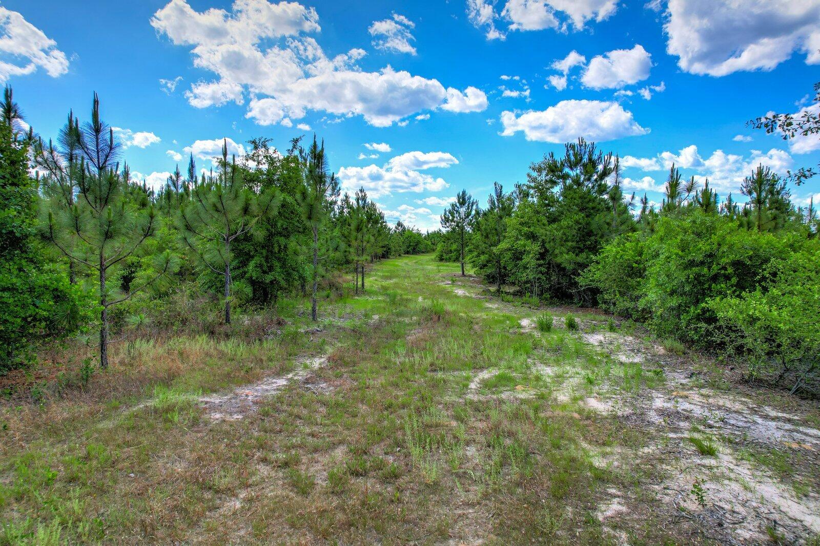 420 Acres N Columbia Highway