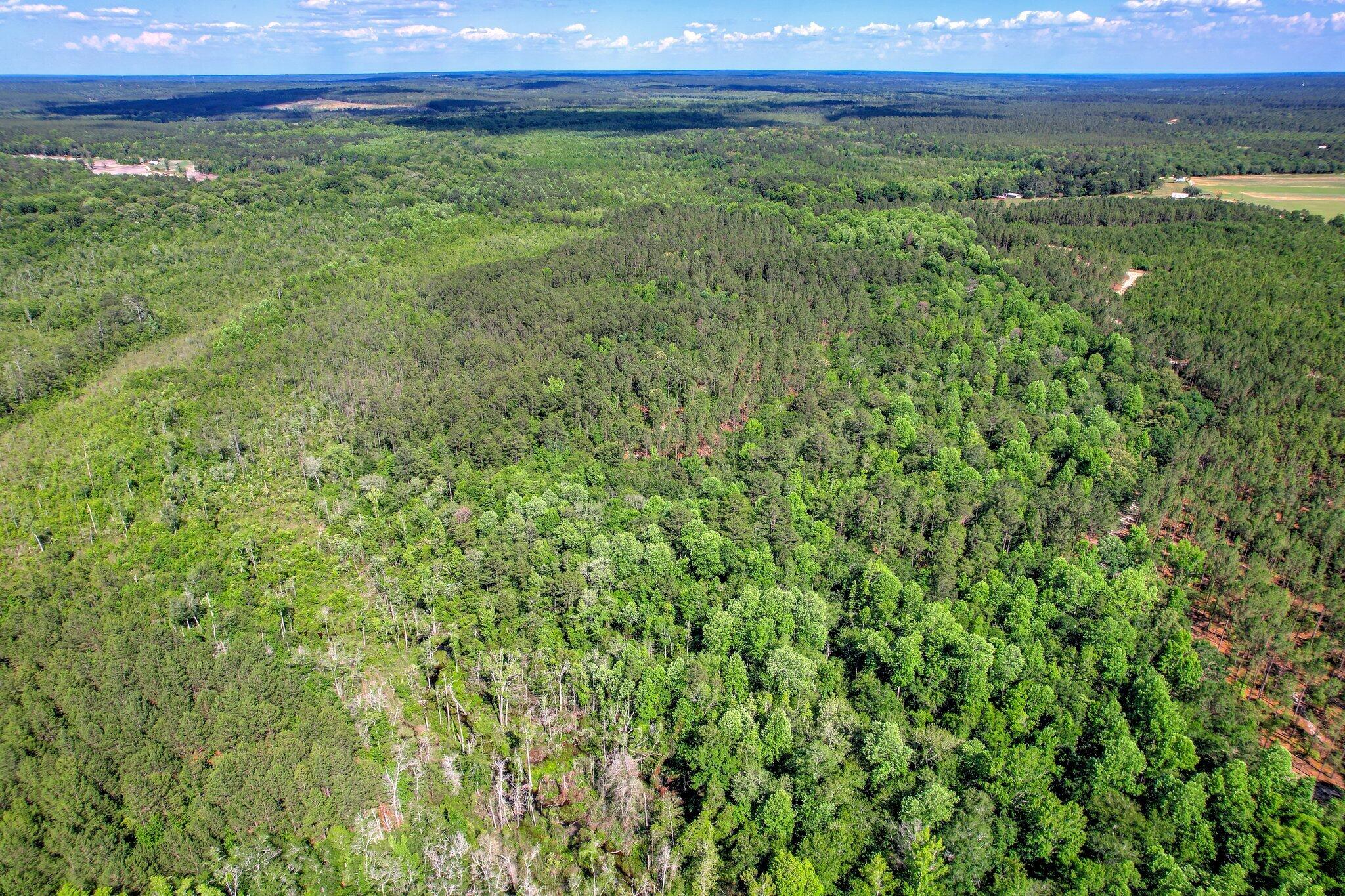 420 Acres N Columbia Highway