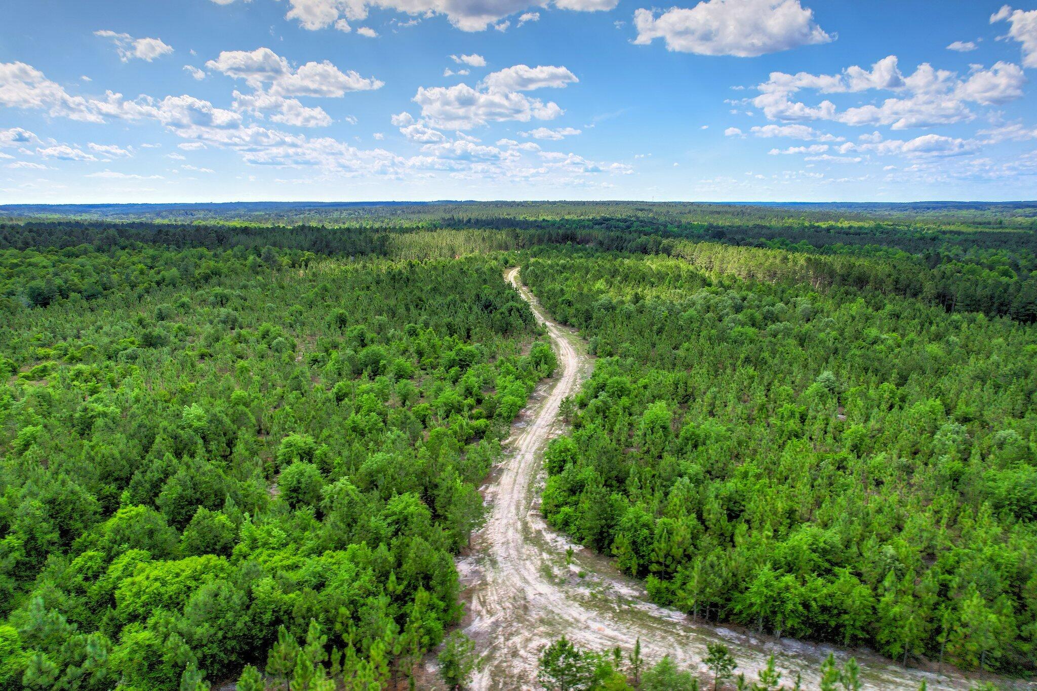 420 Acres N Columbia Highway