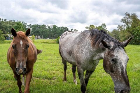 Tiny photo for 1341 N Ga Highway 171, Louisville, GA 30434 (MLS # 546213)