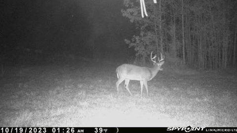 Tiny photo for 1341 N Ga Highway 171, Louisville, GA 30434 (MLS # 546213)