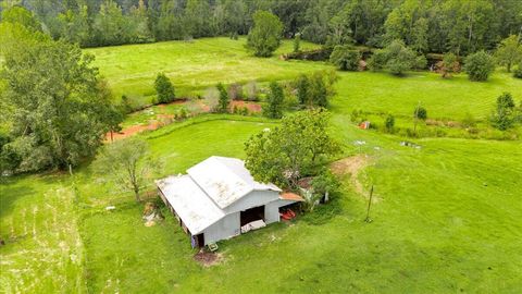 Tiny photo for 1341 N Ga Highway 171, Louisville, GA 30434 (MLS # 546213)