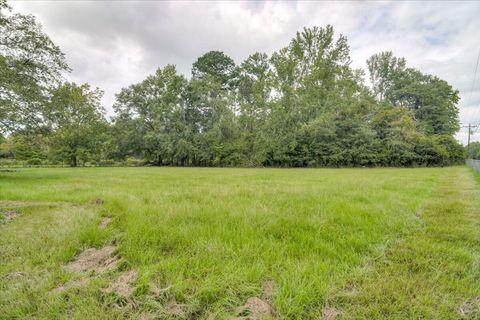 Tiny photo for 1341 N Ga Highway 171, Louisville, GA 30434 (MLS # 546213)