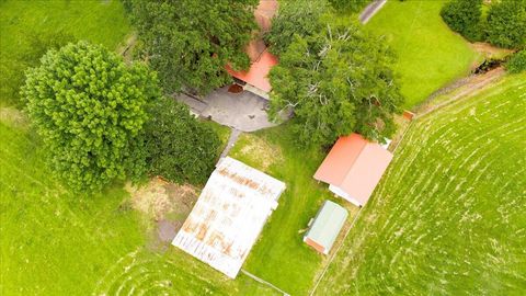 Tiny photo for 1341 N Ga Highway 171, Louisville, GA 30434 (MLS # 546213)