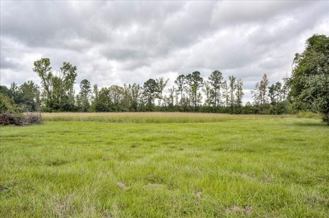 Tiny photo for 1341 N Ga Highway 171, Louisville, GA 30434 (MLS # 546213)