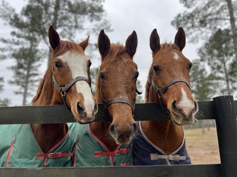 Tiny photo for 140 Hurlingham Drive, Aiken, SC 29801 (MLS # 552061)