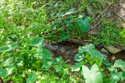 Tiny photo for 3924 Old Trail Road, Augusta, GA 30907 (MLS # 545082)