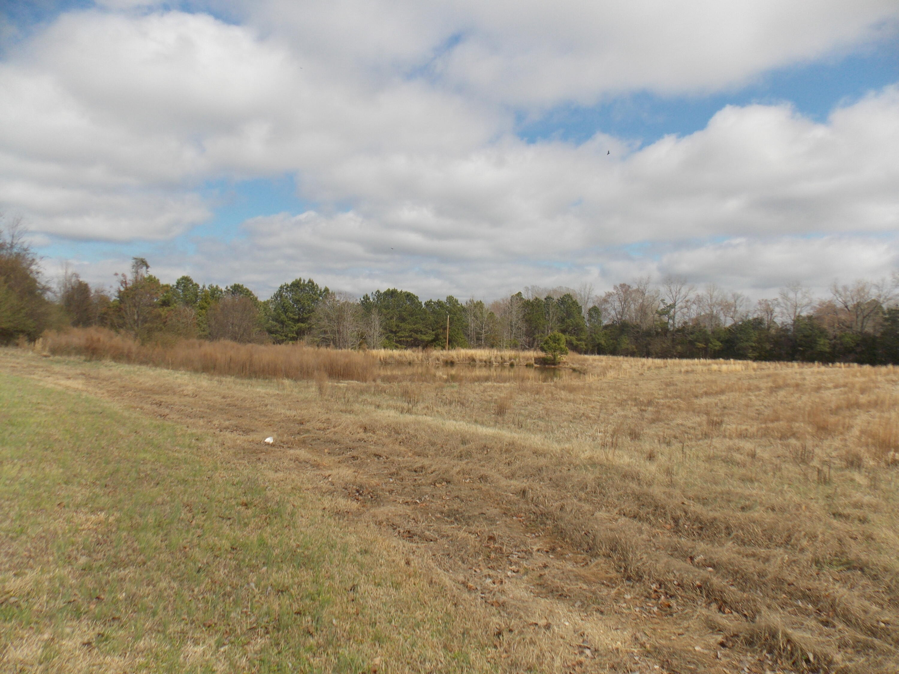 4232 Double Branches Road