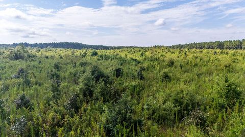 Photo of 20ac Ouzts Road, Edgefield, SC 29824 (MLS # 550308)