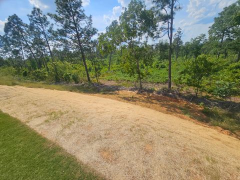 Tiny photo for 985 Tess Street, Graniteville, SC 29829 (MLS # 547370)