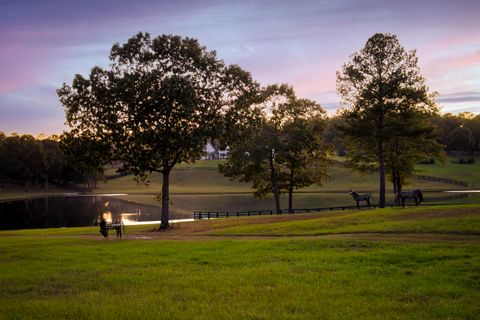 Tiny photo for 409 Chestnut Brown Court, Warrenville, SC 29851 (MLS # 550245)